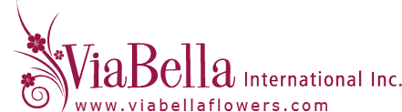 ViaBella International Inc